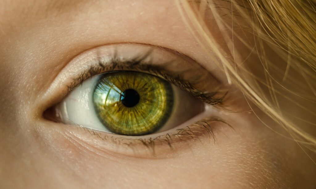 A Clear Look at the Best Nutrients for Eye Health